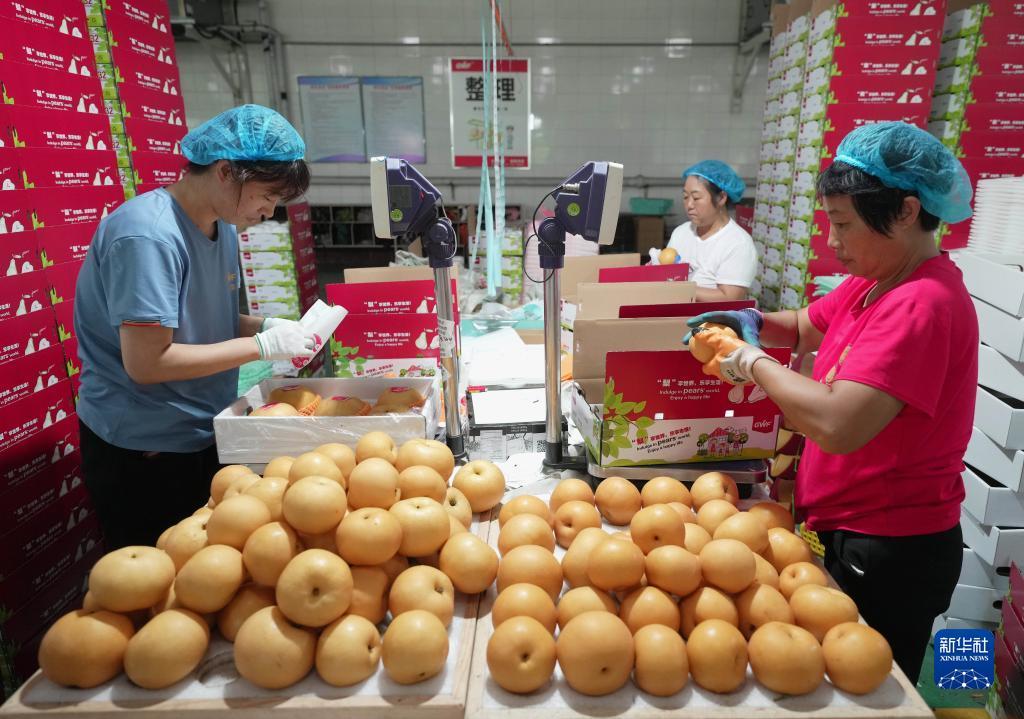 跑胡子必胜技巧